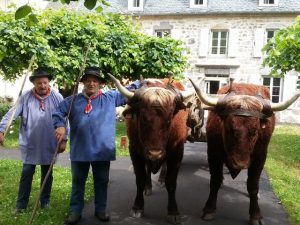 Pierrot Parra et ses Bœufs à l'Enclos du puy Mary